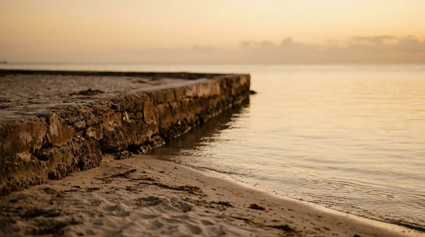 Calm water beside a seawall at sunset, belly fat after 40 article, AWE Aesthetics & Wellness Experience, Pinecrest
